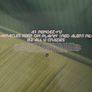 Basement Jaxx - Rendez Vu - 12" vinyl Image 2