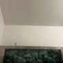 Shallow Aquascape Tank Image 3