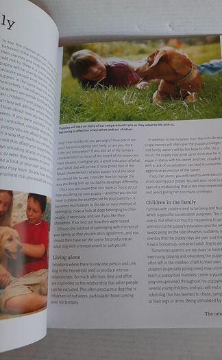 The perfect puppy book