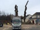 Johnson Tree Services Image 3