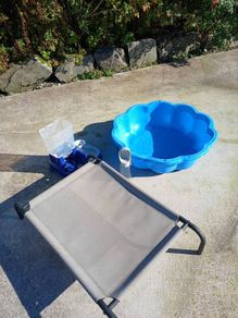 Dog raised bed and paddling pool