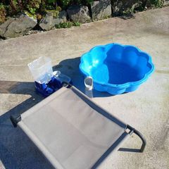 Dog raised bed and paddling pool