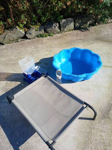 Dog raised bed and paddling pool