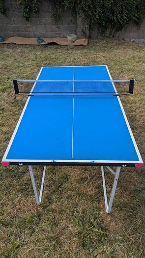 Butterfly Starter table tennis