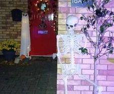 Lifesize skeleton