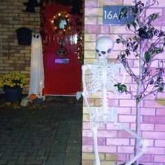 Lifesize skeleton
