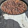 Free Gas Firepit table with Full gas included Image 2