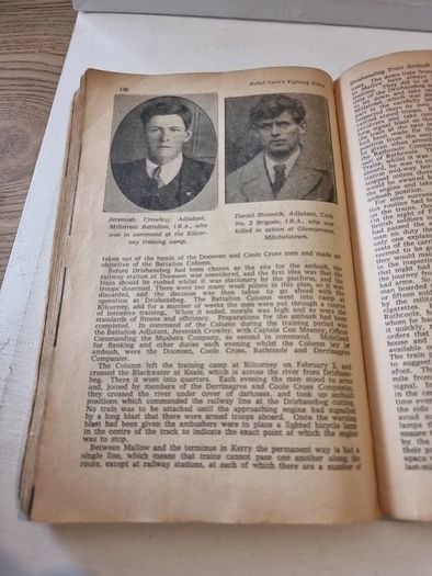 Rebel Cork's Fighting Story.from 1916 to the Truce with Britain .