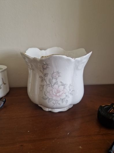 china indoor plant pot
