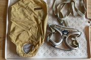 Harness leash, bodysuit and mat