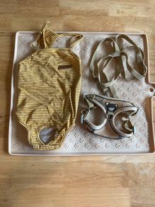 Harness leash, bodysuit and mat