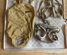 Harness leash, bodysuit and mat