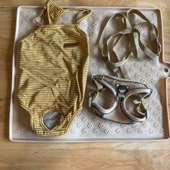 Harness leash, bodysuit and mat