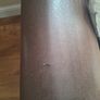 couch arm chairs Image 3