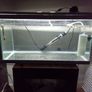 tanks for sale 2 40cm 2 60cm Image 4