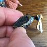 Papo Fantasy war horse with warrior Knight Soilder Image 6