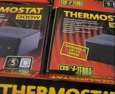 Exo Terra 300w and 100w thermostat