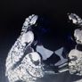 Man's Ring Image 4