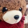 Max Mind Power Bear Image 6