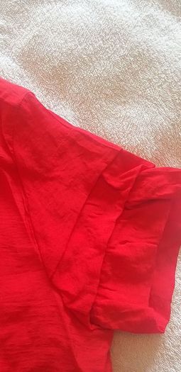 Red Zara Top