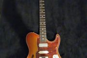 fretking country squire