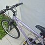 Ladies Bicycle Image 3