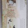 Peter Rabbit Nursery Rhyme book Image 4