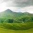 GreenMountainGirl
