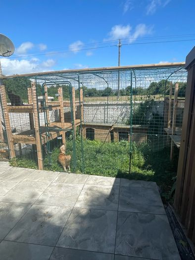 Omlet catio - cat enclosure
