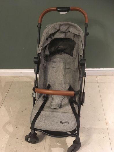 Folding Travel Buggy