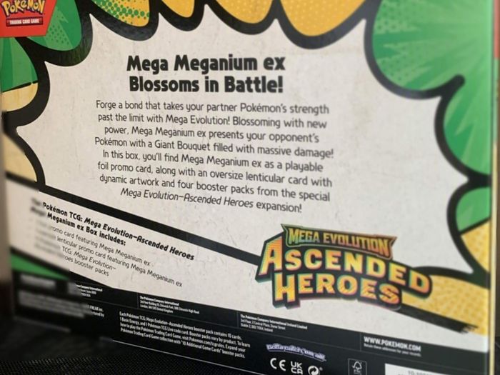 Pokemon Ascended Heros MEGA Meganium ex Box