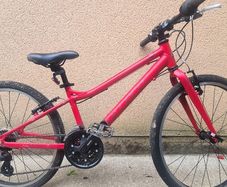 Carrera Junior 20" bikes