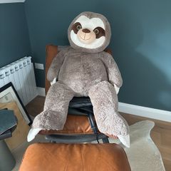 teddy