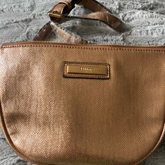 Dune Gold Snake Skin Waist Belt Bag New