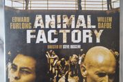 Animal Factory