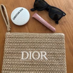 Dior pouch / wristlet
