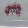 3 seaweed paintings, real seaweed, no post, D18 Image 5