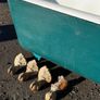 Roll-top, cast iron bath Image 3
