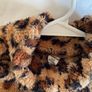 Gorgeous girls fur jacket Shein 9 10 11 Image 3