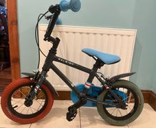 Raleigh 12" (ages 3-5) bike