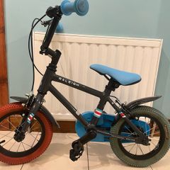 Raleigh 12" (ages 3-5) bike