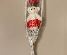 Teddy Rose