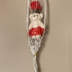 Teddy Rose