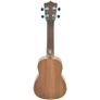 Soprano Ukulele Brown with carry case Aria Image 2
