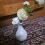 Plant decor Image 2