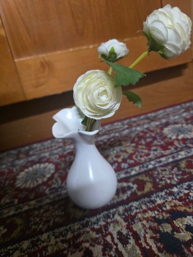 Plant decor