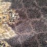rug Image 7