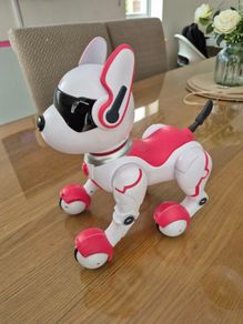Robot Dog