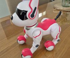 Robot Dog