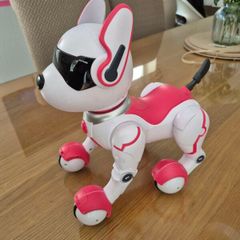 Robot Dog